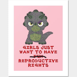 Girls Just Want To Have Reproductive Rights Posters and Art